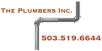 The Plumbers Inc.